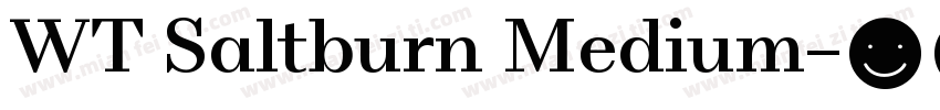 WT Saltburn Medium字体转换